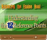 Balancing the Equine Hoof - DVD